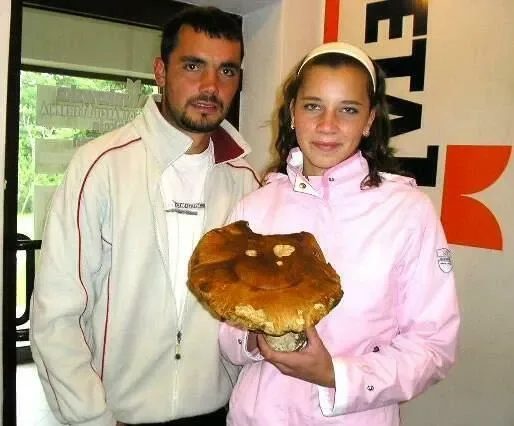 Niezły grzybek!