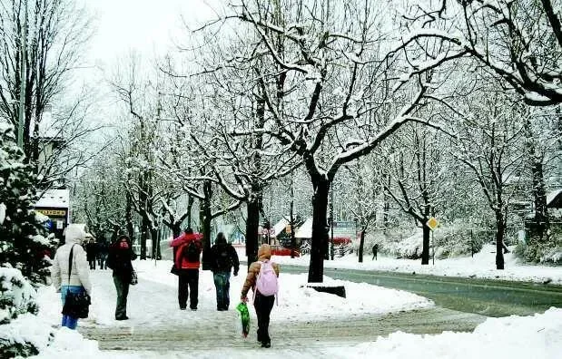 Radni chcą kredytu, burmistrz się nie zgadza