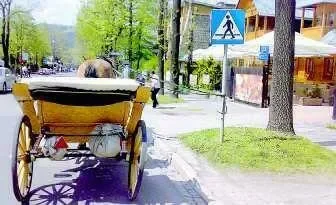 Z cyklu: koń by się uśmiał...