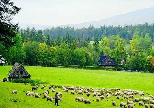 Obiecują, obiecują, a park dalej jest