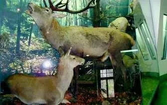 Muzeum dobre jest też i na lato