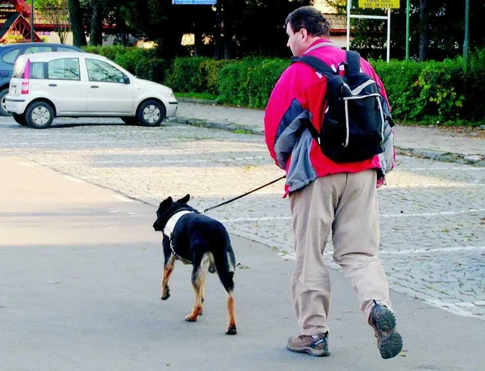Zakopane przyjazne niepełnosprawnym?
