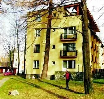 Co jest ważniejsze – drzewo czy my?