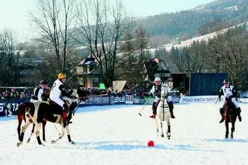 W piątek niecodzienny mecz – polo na śniegu