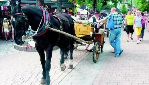Zasady nie dla fiakrów