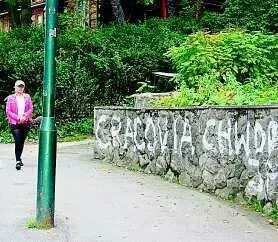 Pseudokibice pod Tatrami