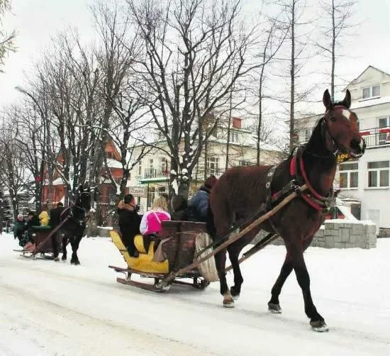 Kuligi z... odstępami