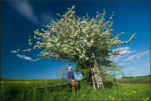 Fotograf rozsławi Rabkę i Gorce.