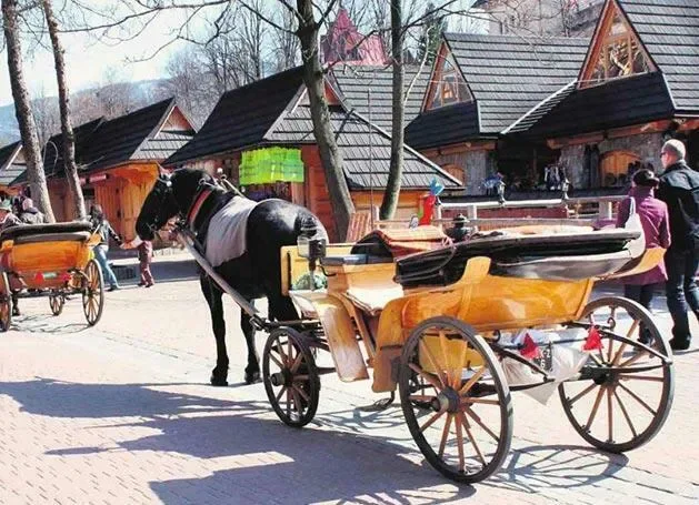 Zakopane: mijają miesiące, a koński problem trwa!