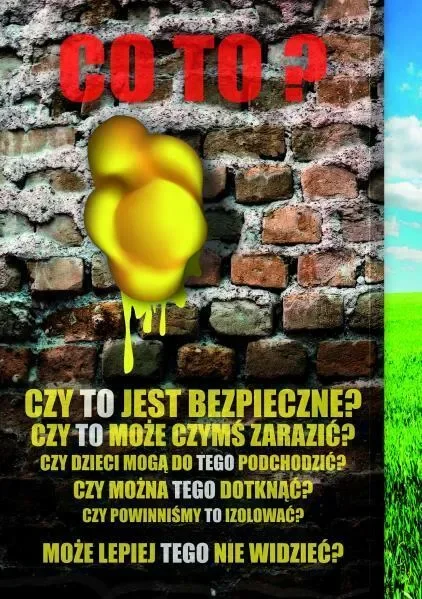 Co to za żółte kokony…