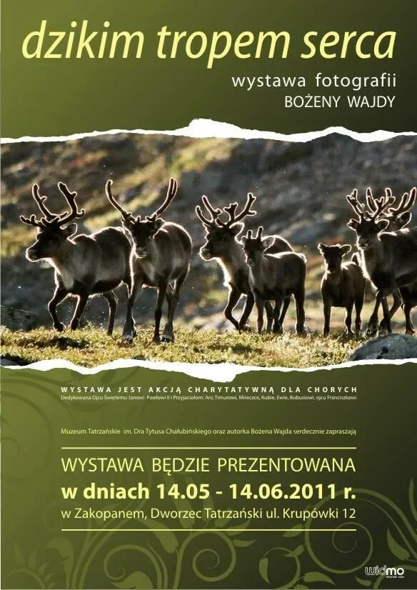 „DZIKIM TROPEM SERCA” - wystawa fotografii Bożeny Wajdy