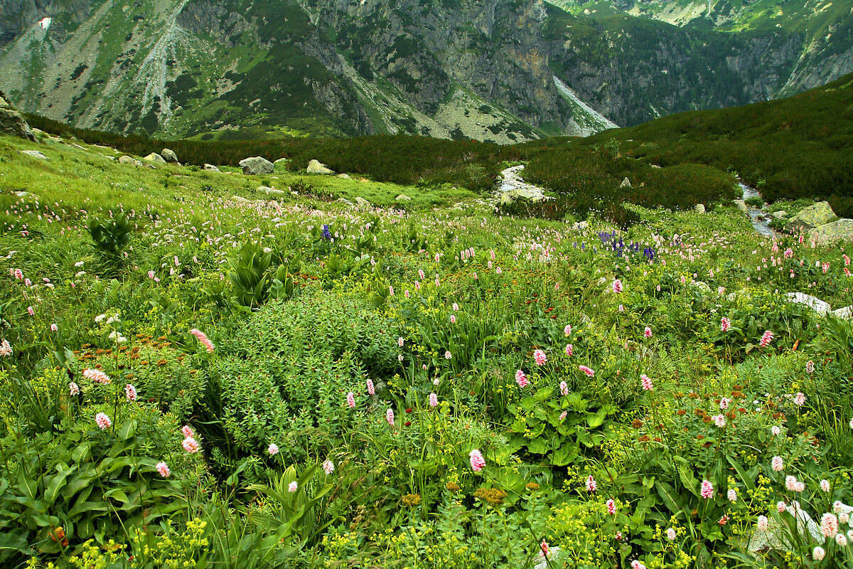 Podhale — Zakopane