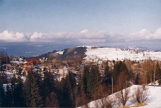 Czarna Góra - widok z Bukowiny