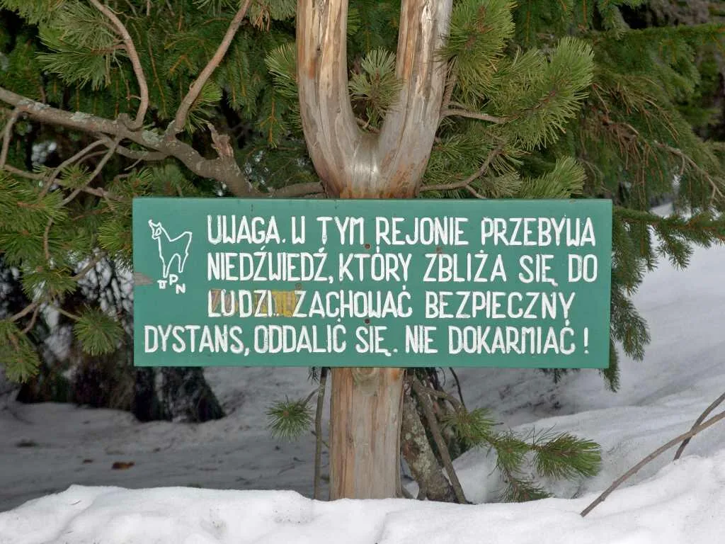 Tablica ostrzegająca przed spotkaniem z niedźwiedziem (fot. Andrzej Samardak)