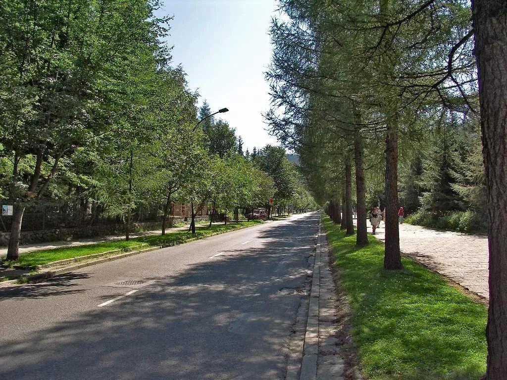 Ulica Piłsudskiego, widok w stronę południową po minięciu skrzyżowania z ulicą Makuszyńskiego (fot. Andrzej Samardak)