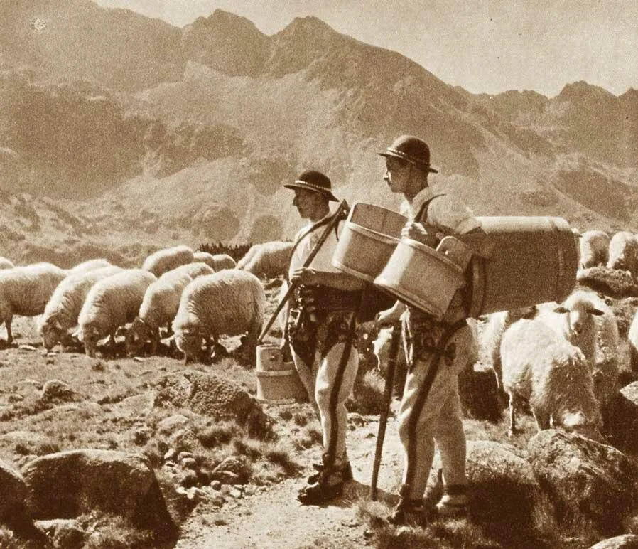 Pasterze w Tatrach (fot. archiwum)