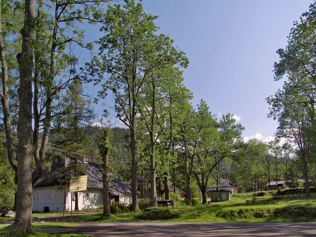 Budynek dawnej dyrekcji huty w Kuźnicach (fot. Andrzej Samardak) Kuźnice - tablica pamiątkowa (fot. Andrzej Samardak) Park dworski w Kuźnicach (fot. Andrzej Samardak)