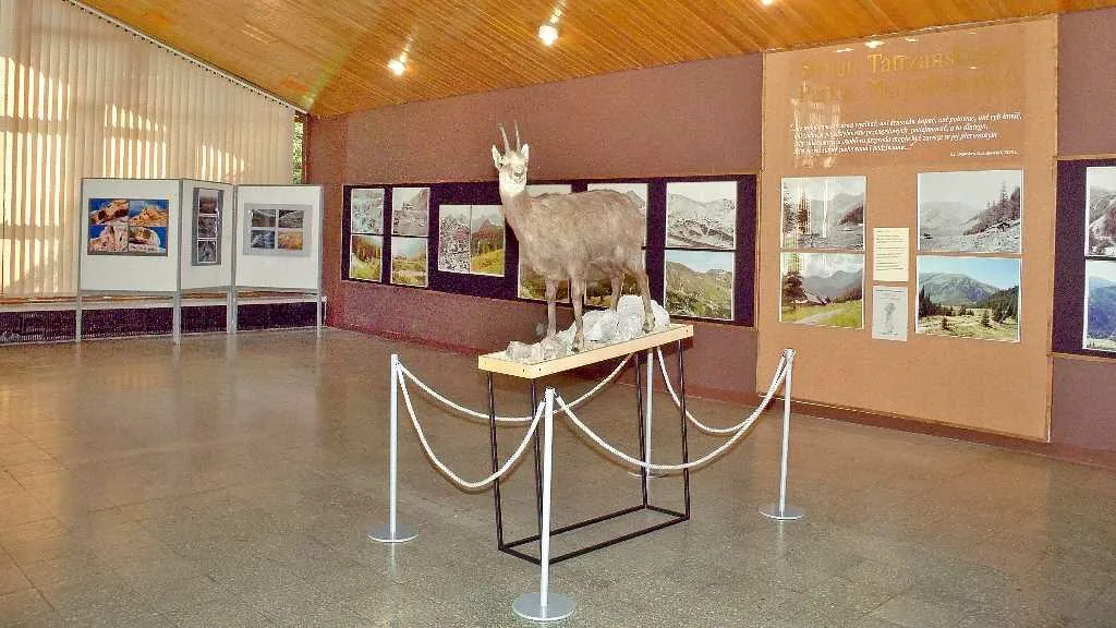 Muzeum Przyrodnicze TPN Wystawa "50 Lat TPN" (fot. Andrzej Samardak)