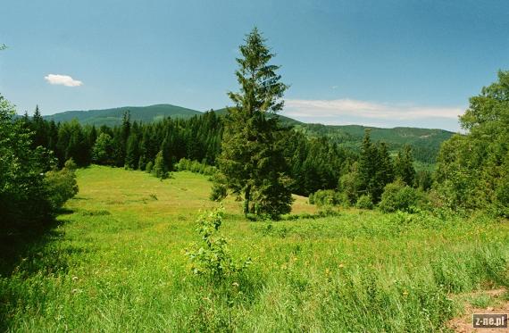 Beskid Żywiecki. Widok z Polany Łobysówka, szlak z Sopotni Wielkiej na przełęcz Przysłopy