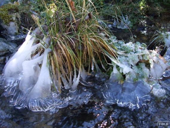Jesen-zima na Bobroveckom potoku Dubravnik Predna Bobrovecka kotlina