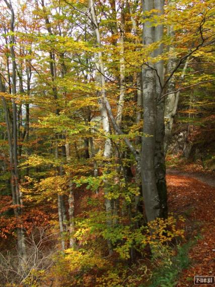 Jesenna farebna symfonia v Kvacianskej doline