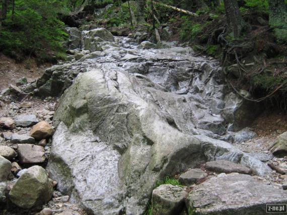 Kamień w dolinie Roztoki