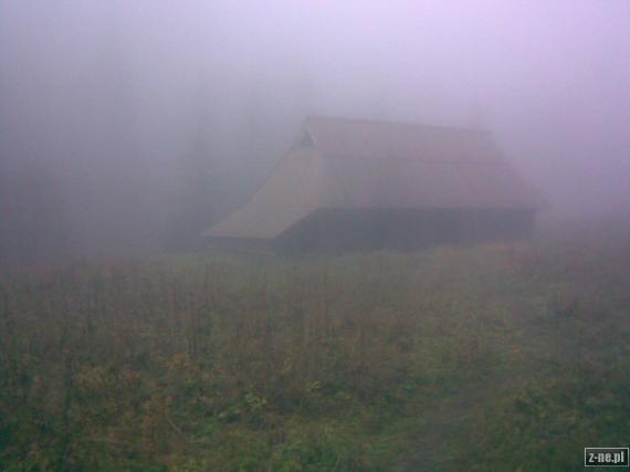 Mgła w dolinie Jaworzynki