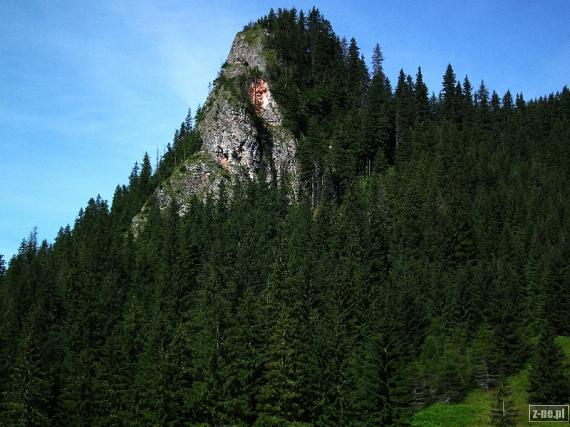 Ogon w Tatrach Zachodnich
