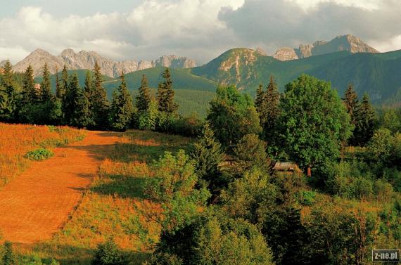 Zakopane. Widok z ulicy Broniewskiego