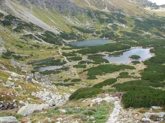 Zielona Dolina Gąsienicowa