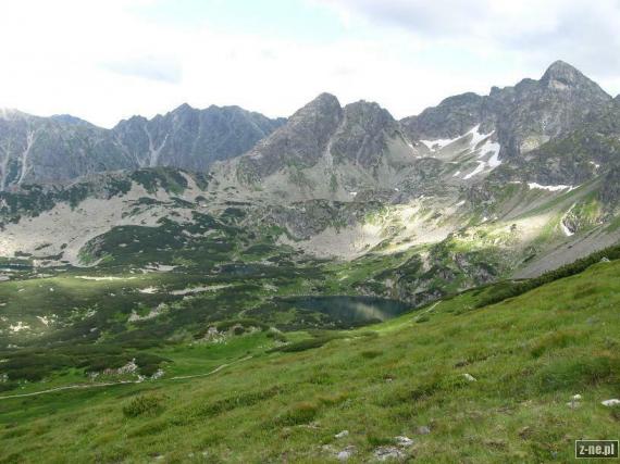Zielony Staw
