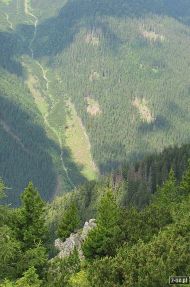 Dolina Jamnicka ze szlaku na Otargańce