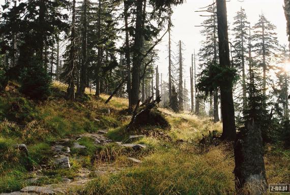karkonoskie szlaki