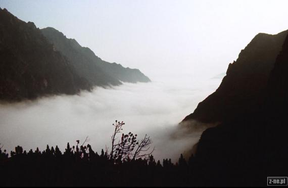 Mgły w Dolinie Roztoki