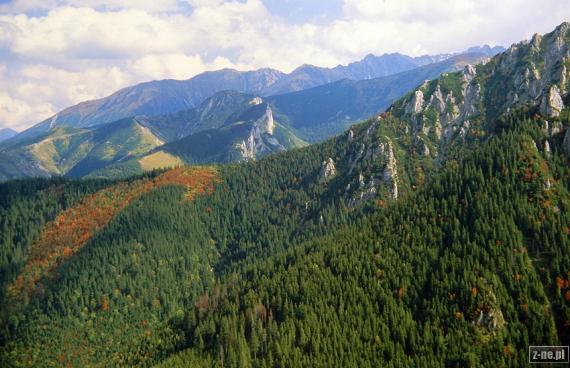 Panorama Tatr z Sarniej Skały