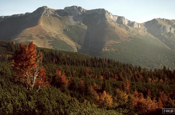 Jesień w Tatrach Słowackich